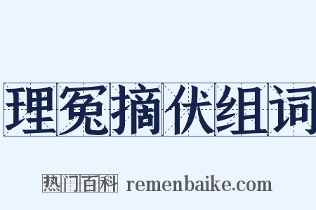 理冤摘伏组词是什么意思的图片